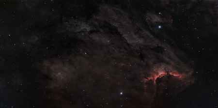 IC 5070 - Pelican Nebula