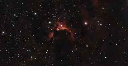 LDN 1218 - Skeleton Nebula