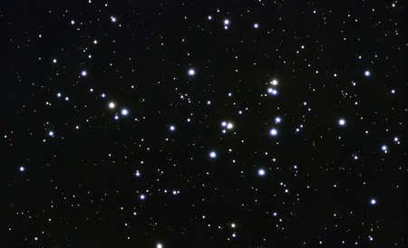 M 44