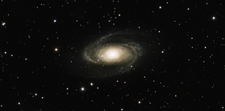 M 81