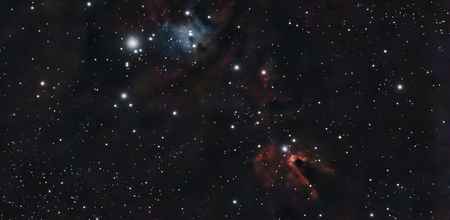 NGC 2264
