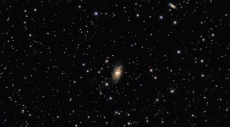 NGC 2336