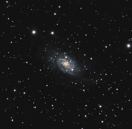 NGC 2403